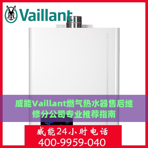 威能Vaillant燃气热水器售后维修分公司专业推荐指南