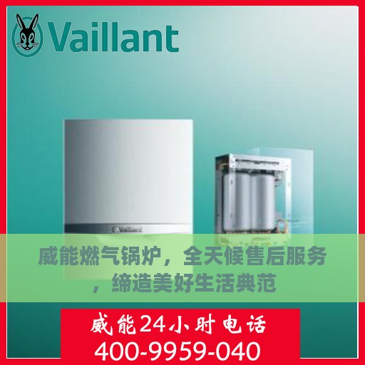 威能燃气锅炉，全天候售后服务，缔造美好生活典范