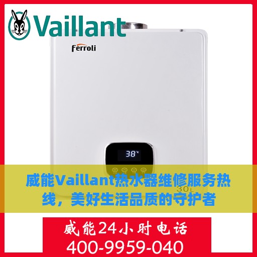 威能Vaillant热水器维修服务热线，美好生活品质的守护者