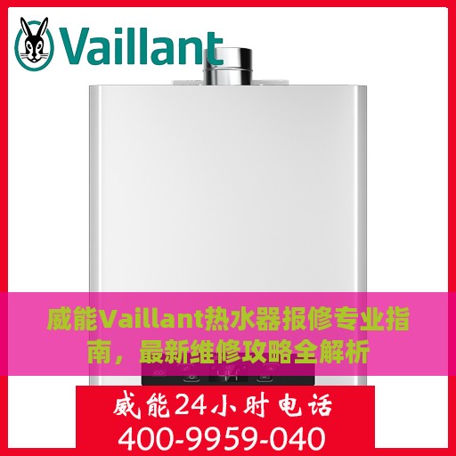 威能Vaillant热水器报修专业指南，最新维修攻略全解析