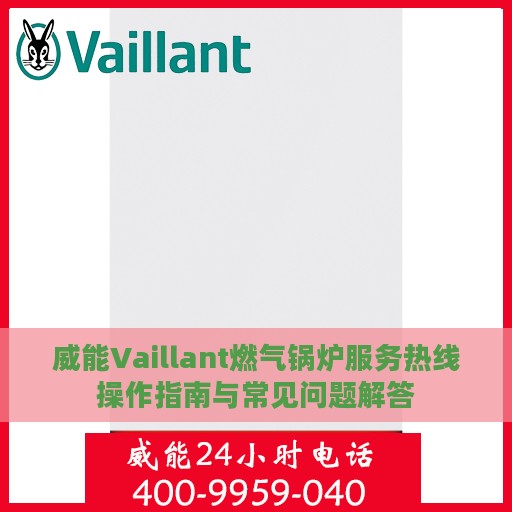 威能Vaillant燃气锅炉服务热线操作指南与常见问题解答