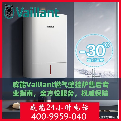 威能Vaillant燃气壁挂炉售后专业指南，全方位服务，权威保障