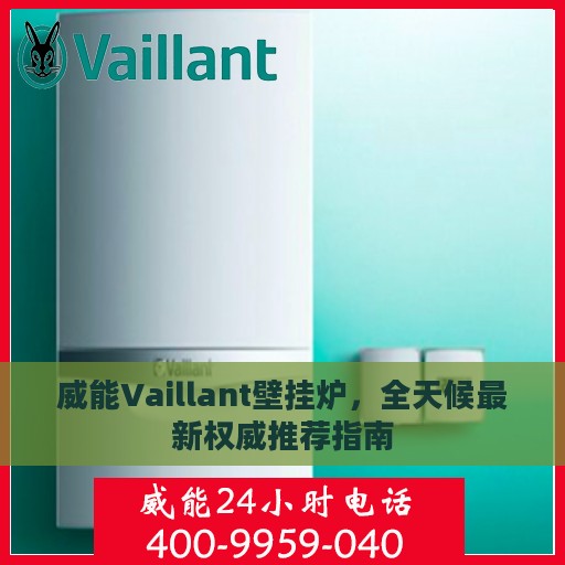 威能Vaillant壁挂炉，全天候最新权威推荐指南