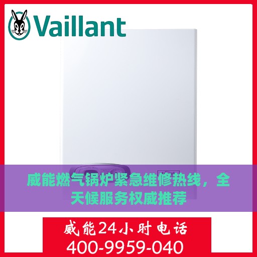 威能燃气锅炉紧急维修热线，全天候服务权威推荐