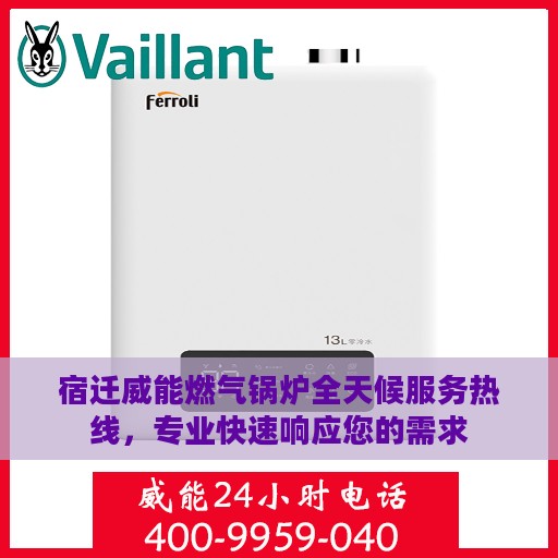 宿迁威能燃气锅炉全天候服务热线，专业快速响应您的需求