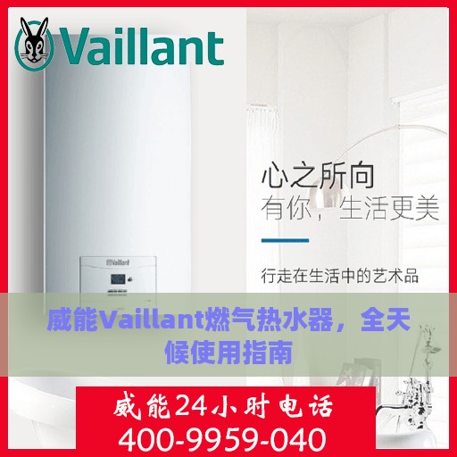威能Vaillant燃气热水器，全天候使用指南