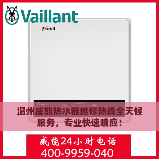 温州威能热水器维修热线全天候服务，专业快速响应！