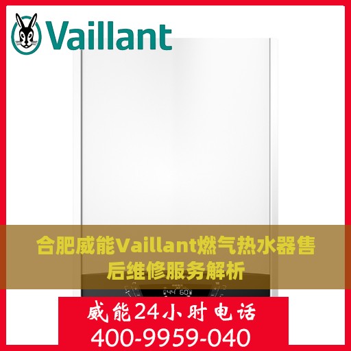 合肥威能Vaillant燃气热水器售后维修服务解析