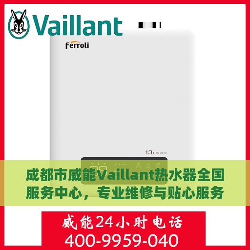 成都市威能Vaillant热水器全国服务中心，专业维修与贴心服务