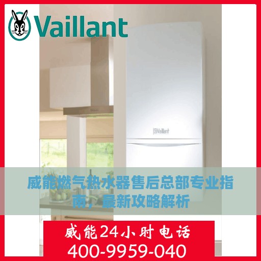 威能燃气热水器售后总部专业指南，最新攻略解析