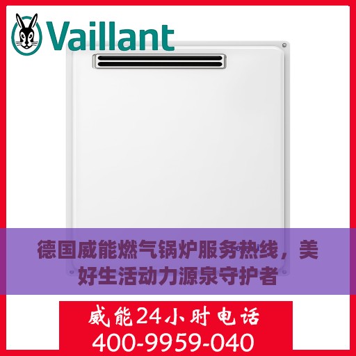 德国威能燃气锅炉服务热线，美好生活动力源泉守护者