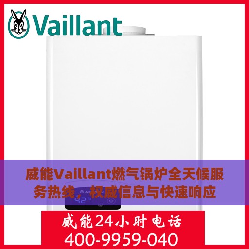 威能Vaillant燃气锅炉全天候服务热线，权威信息与快速响应