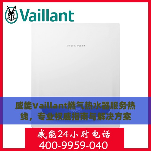 威能Vaillant燃气热水器服务热线，专业权威指南与解决方案