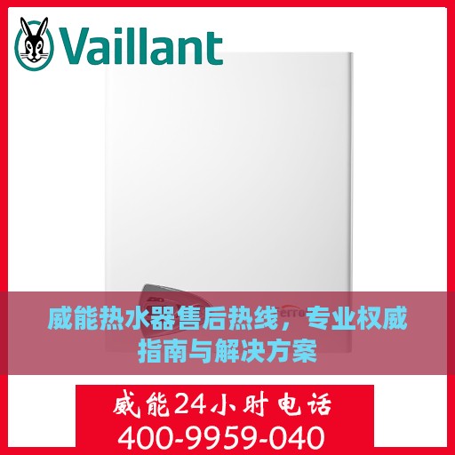 威能热水器售后热线，专业权威指南与解决方案