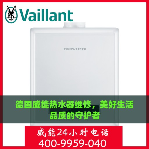 德国威能热水器维修，美好生活品质的守护者