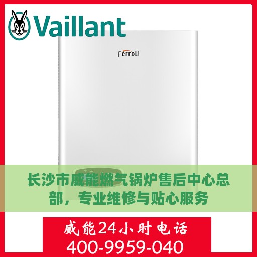 长沙市威能燃气锅炉售后中心总部，专业维修与贴心服务