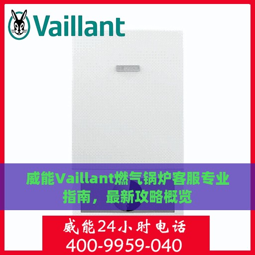 威能Vaillant燃气锅炉客服专业指南，最新攻略概览