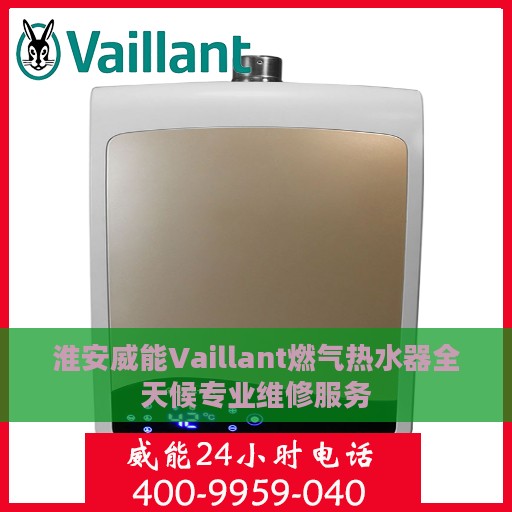 淮安威能Vaillant燃气热水器全天候专业维修服务