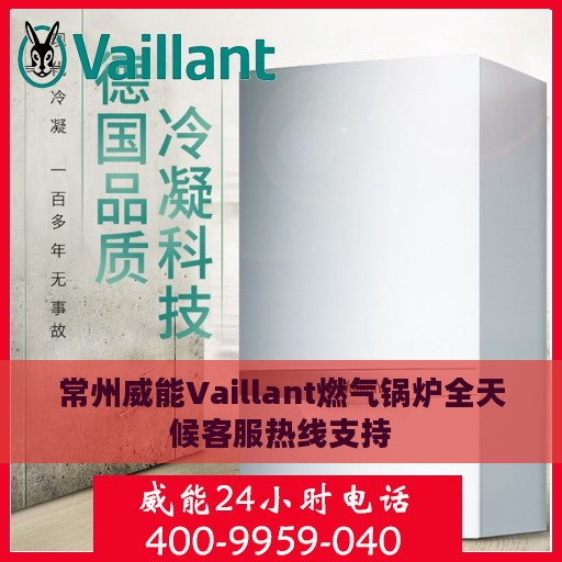 常州威能Vaillant燃气锅炉全天候客服热线支持