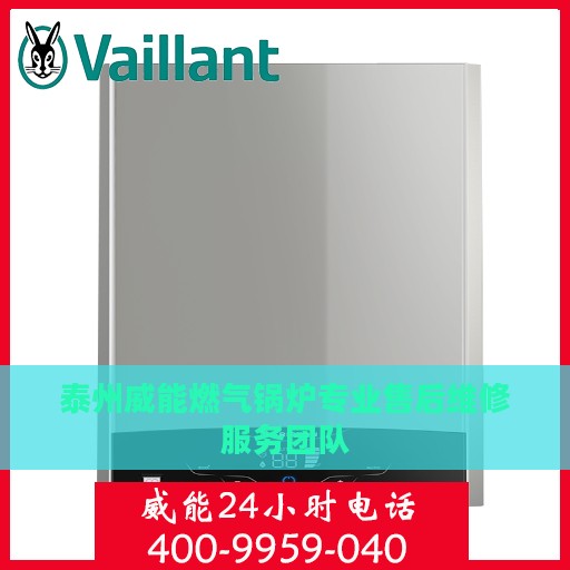 泰州威能燃气锅炉专业售后维修服务团队