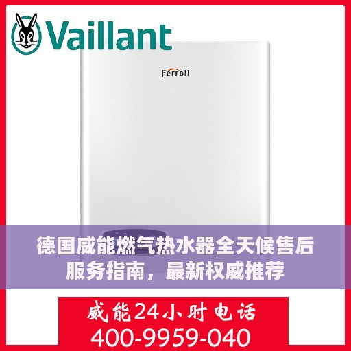 德国威能燃气热水器全天候售后服务指南，最新权威推荐