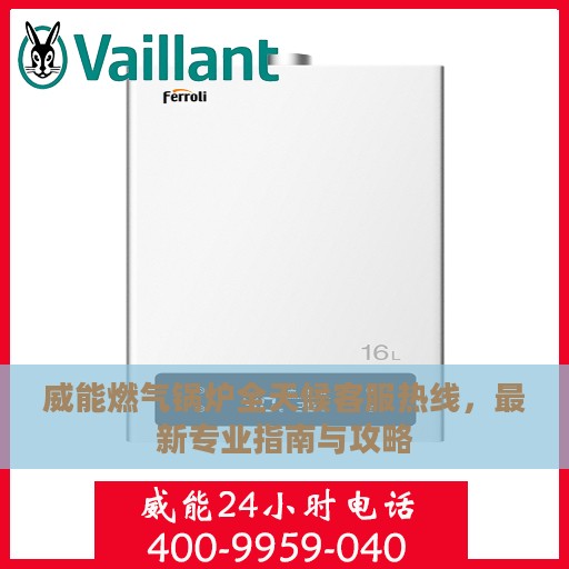 威能燃气锅炉全天候客服热线，最新专业指南与攻略