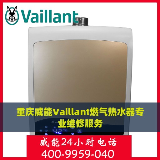 重庆威能Vaillant燃气热水器专业维修服务