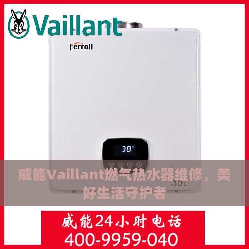 威能Vaillant燃气热水器维修，美好生活守护者