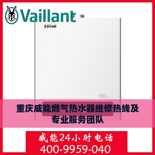 重庆威能燃气热水器维修热线及专业服务团队