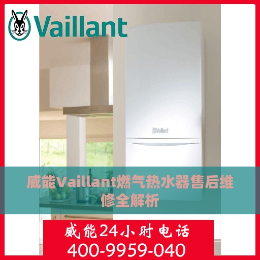 威能Vaillant燃气热水器售后维修全解析