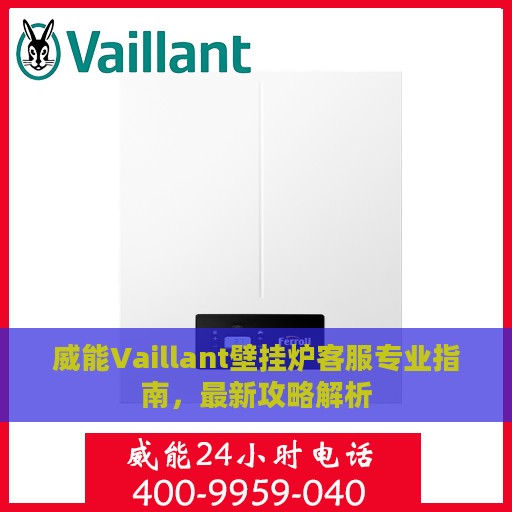 威能Vaillant壁挂炉客服专业指南，最新攻略解析