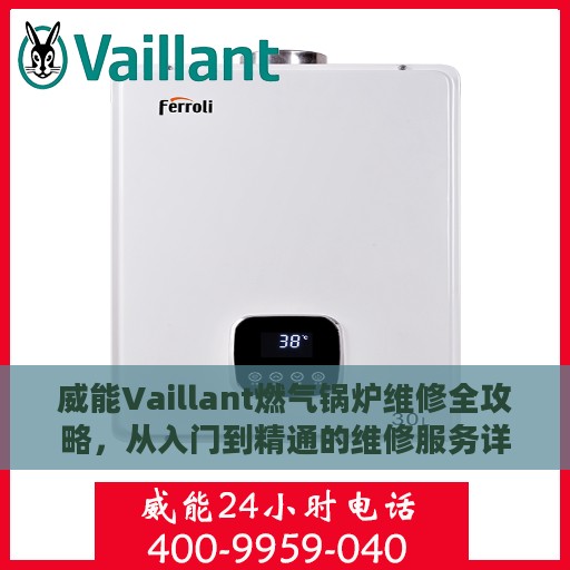 威能Vaillant燃气锅炉维修全攻略，从入门到精通的维修服务详解