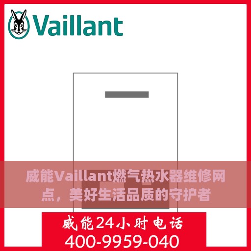 威能Vaillant燃气热水器维修网点，美好生活品质的守护者