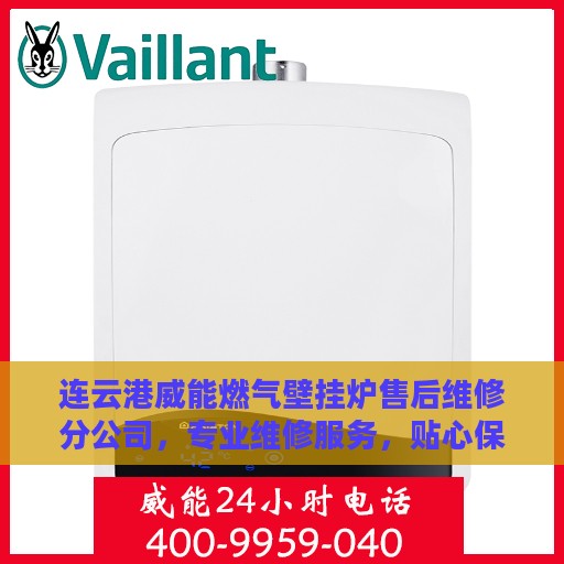 连云港威能燃气壁挂炉售后维修分公司，专业维修服务，贴心保障您的温暖生活