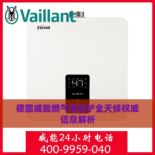 德国威能燃气壁挂炉全天候权威信息解析