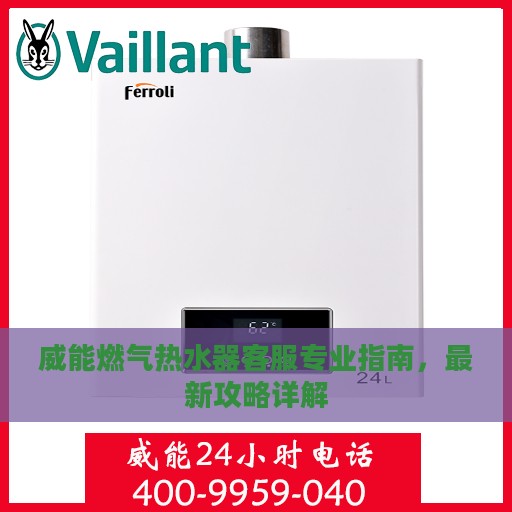 威能燃气热水器客服专业指南，最新攻略详解