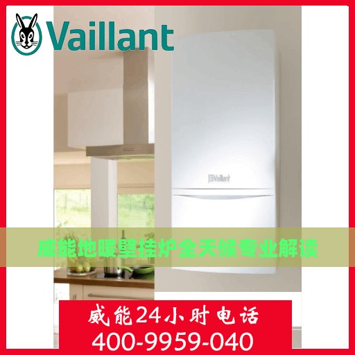 威能地暖壁挂炉全天候专业解读