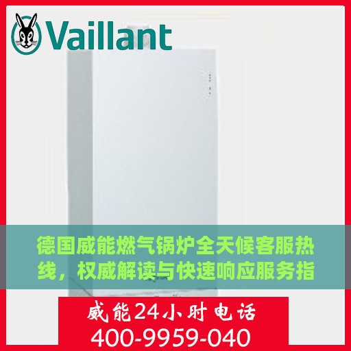 德国威能燃气锅炉全天候客服热线，权威解读与快速响应服务指南