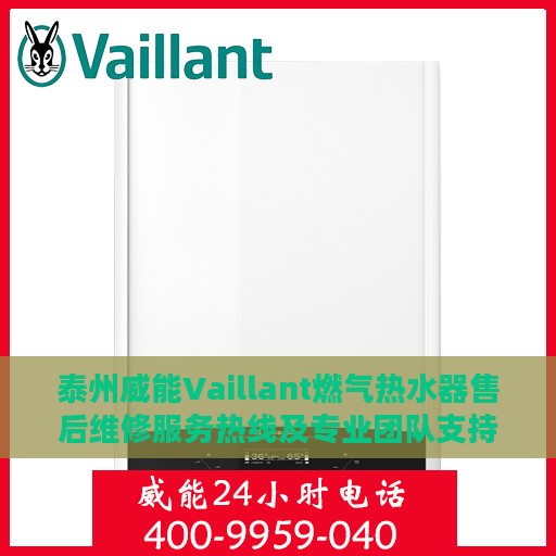 泰州威能Vaillant燃气热水器售后维修服务热线及专业团队支持
