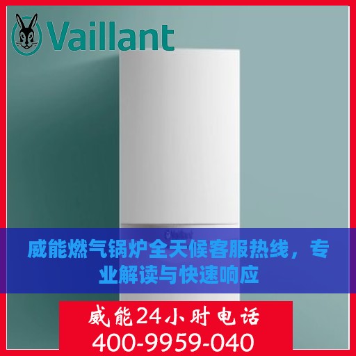 威能燃气锅炉全天候客服热线，专业解读与快速响应
