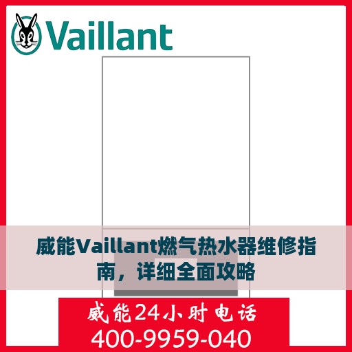 威能Vaillant燃气热水器维修指南，详细全面攻略