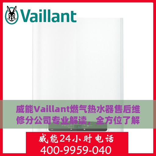 威能Vaillant燃气热水器售后维修分公司专业解读，全方位了解燃气热水器维护与保养秘籍