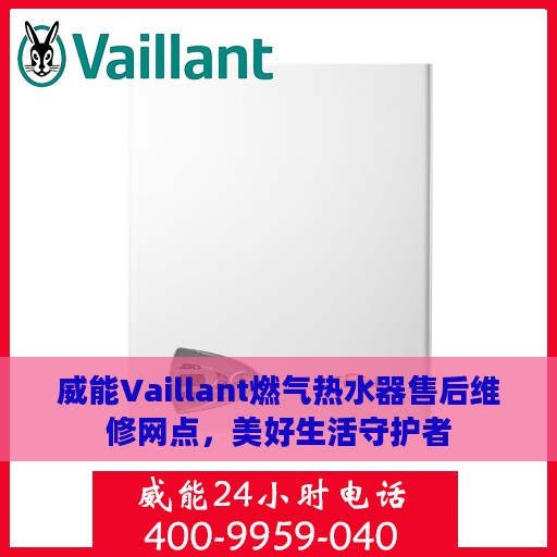 威能Vaillant燃气热水器售后维修网点，美好生活守护者