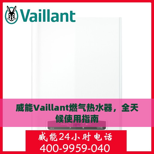 威能Vaillant燃气热水器，全天候使用指南
