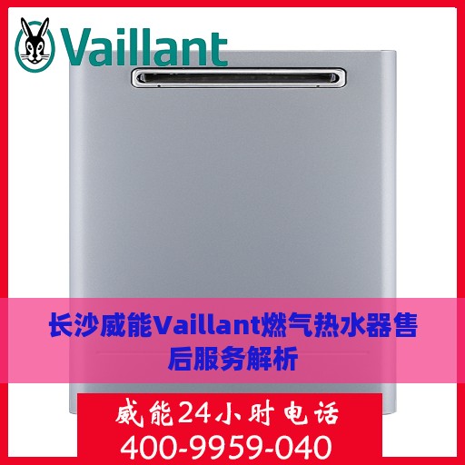 长沙威能Vaillant燃气热水器售后服务解析