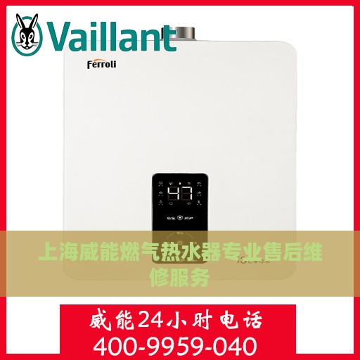 上海威能燃气热水器专业售后维修服务