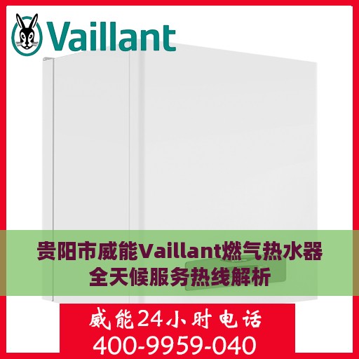贵阳市威能Vaillant燃气热水器全天候服务热线解析