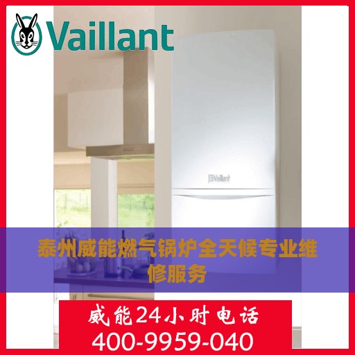 泰州威能燃气锅炉全天候专业维修服务