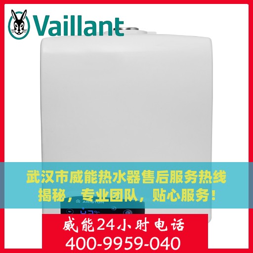 武汉市威能热水器售后服务热线揭秘，专业团队，贴心服务！