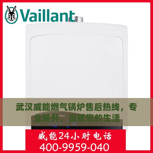 武汉威能燃气锅炉售后热线，专业服务，温暖您的生活